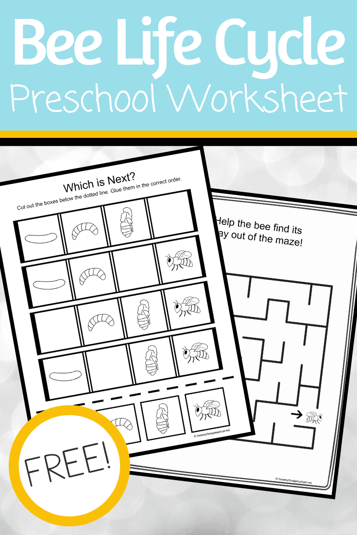 Use these activity pages to teach the life cycle of a bee for kids. This set includes four activity pages that highlight all four stages of a bee's life.