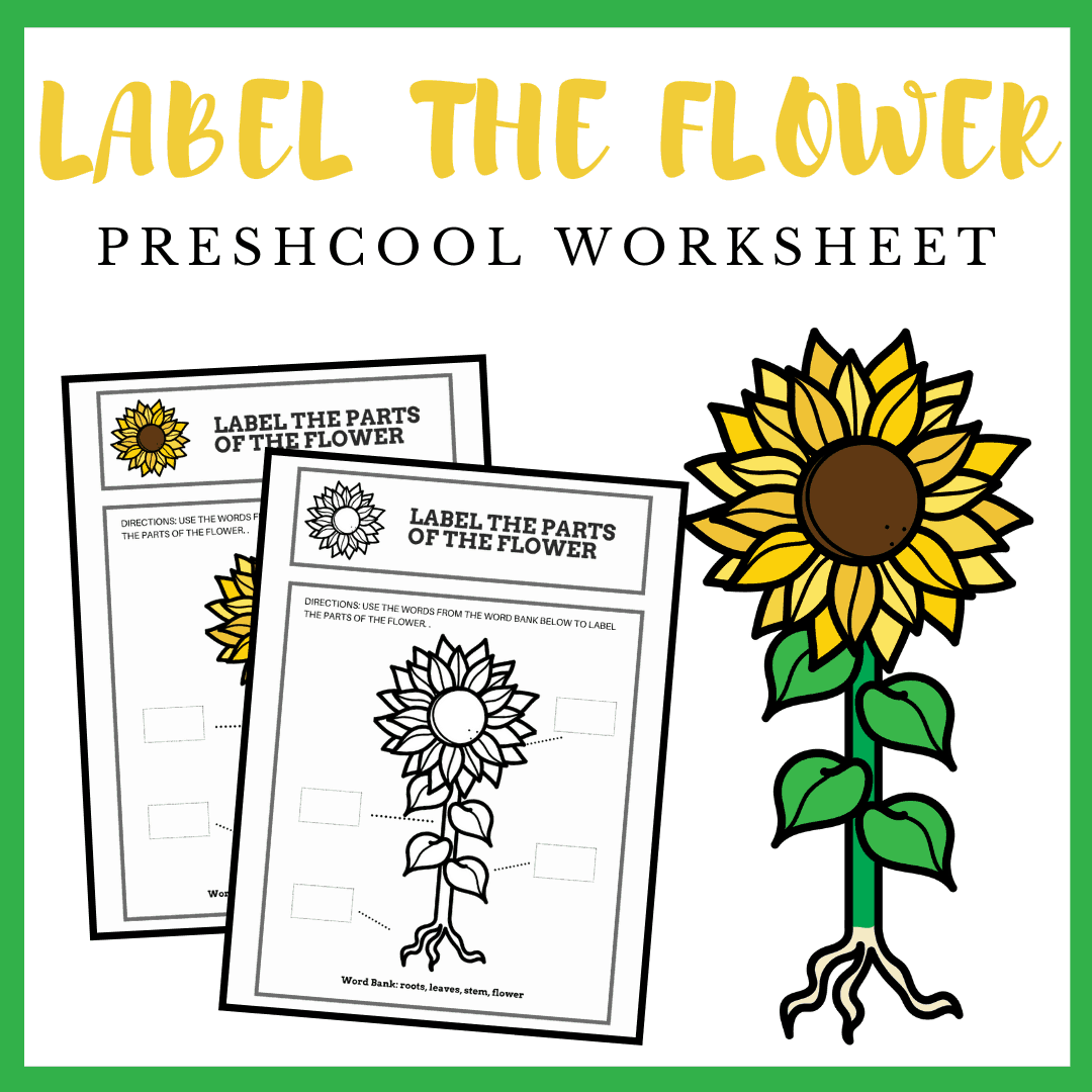 Kids will love sharing their knowledge as they label this parts of a flower preschool worksheet! It's perfect for assessment at the end of your lesson.