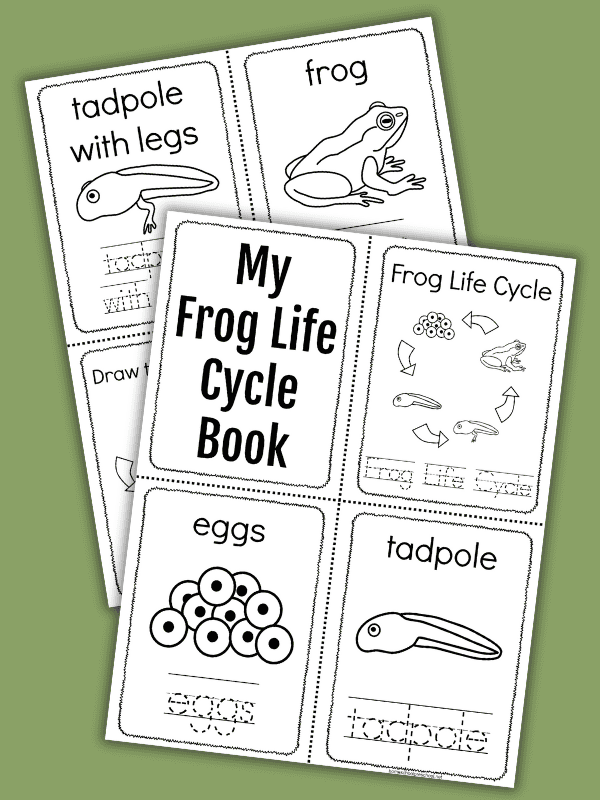 Printable Frog Life Cycle Book