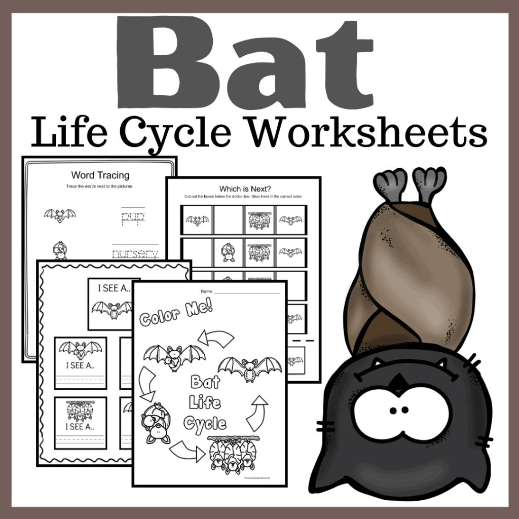 Fall is the perfect time of year to study bats! These bat life cycle worksheets feature 15 activities for preschool and kindergarten kiddos!