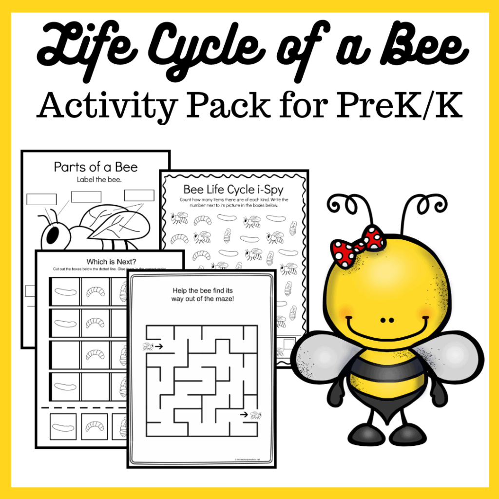 Spring and summer are the perfect time of year to study bees! This bee life cycle printable features 15 activities for preschool and kindergarten kiddos!