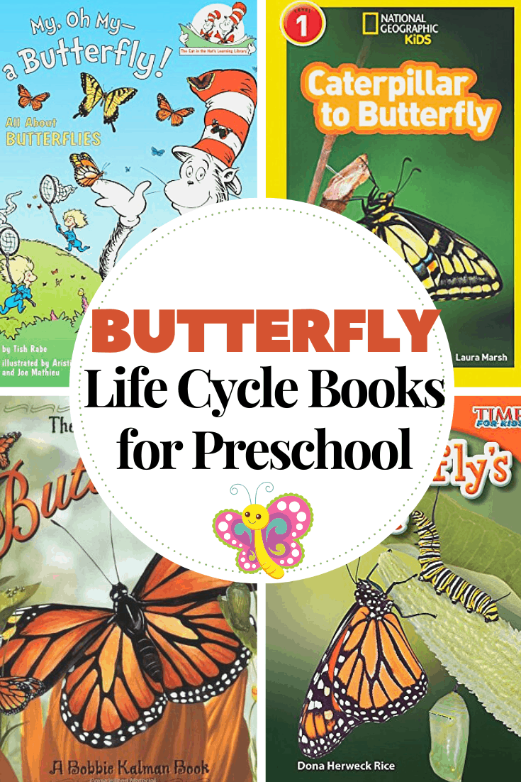 As spring turns into summer, teach your preschoolers about how butterflies grow with these butterfly life cycle books for kids.