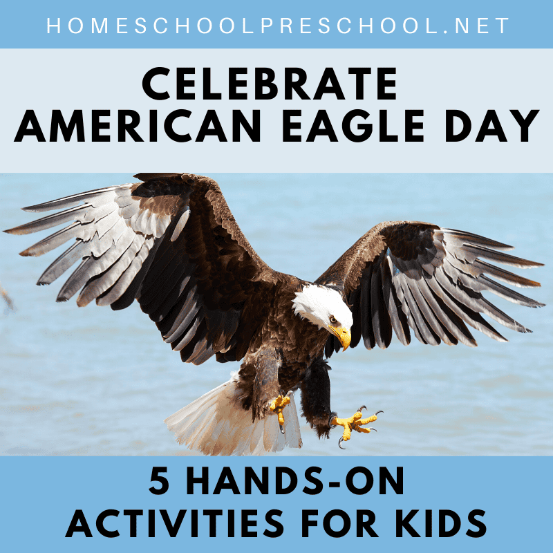 National American Eagle Day is coming up quickly on June 20th! It's a day to honor our national symbol and learn about this magnificent bird.