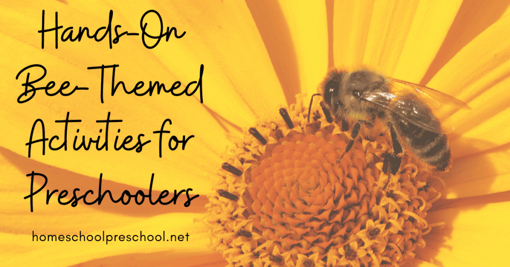 Do you have a preschooler fascinated by bees? They're a fascinating insect to study. So spend a day learning about them with these bee activities!