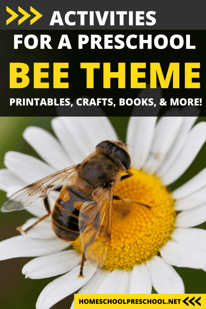 Bee activities for preschoolers! Find crafts, printables, book lists, and more. Come discover what the buzz is all about!
