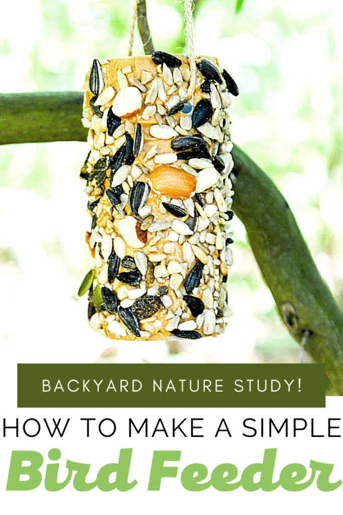 Entice the birds to visit your backyard when you hang this bird feeder preschool craft in a nearby tree. It's perfect for backyard nature study!