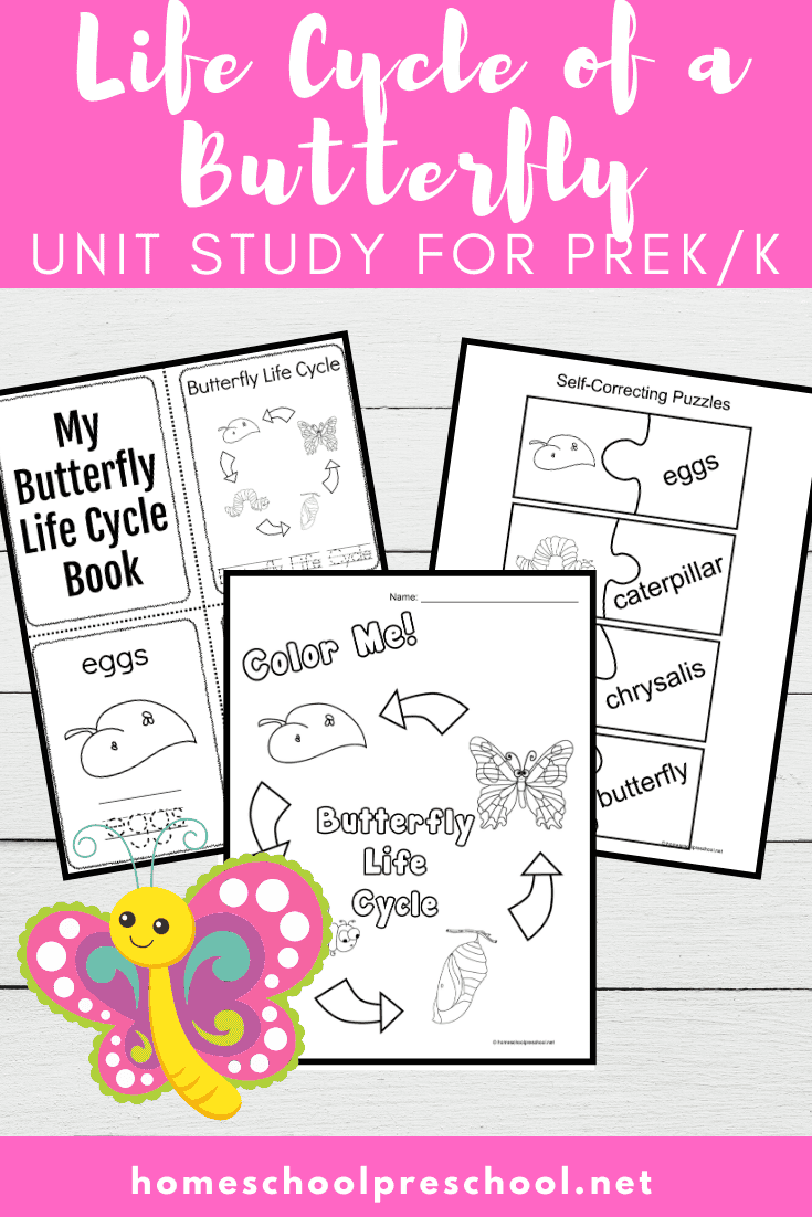 Butterfly Life Cycle for Kids