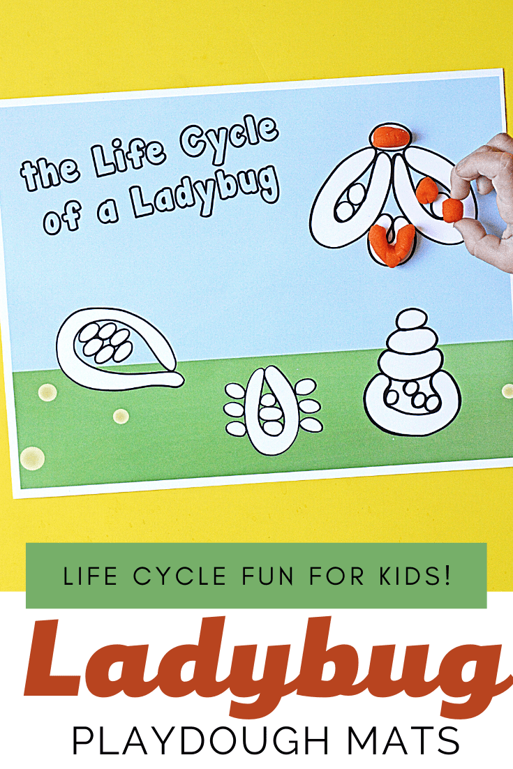 These ladybug playdough mats will help preschoolers visualize the stages of the life cycle of a ladybug. They are both educational and fun!