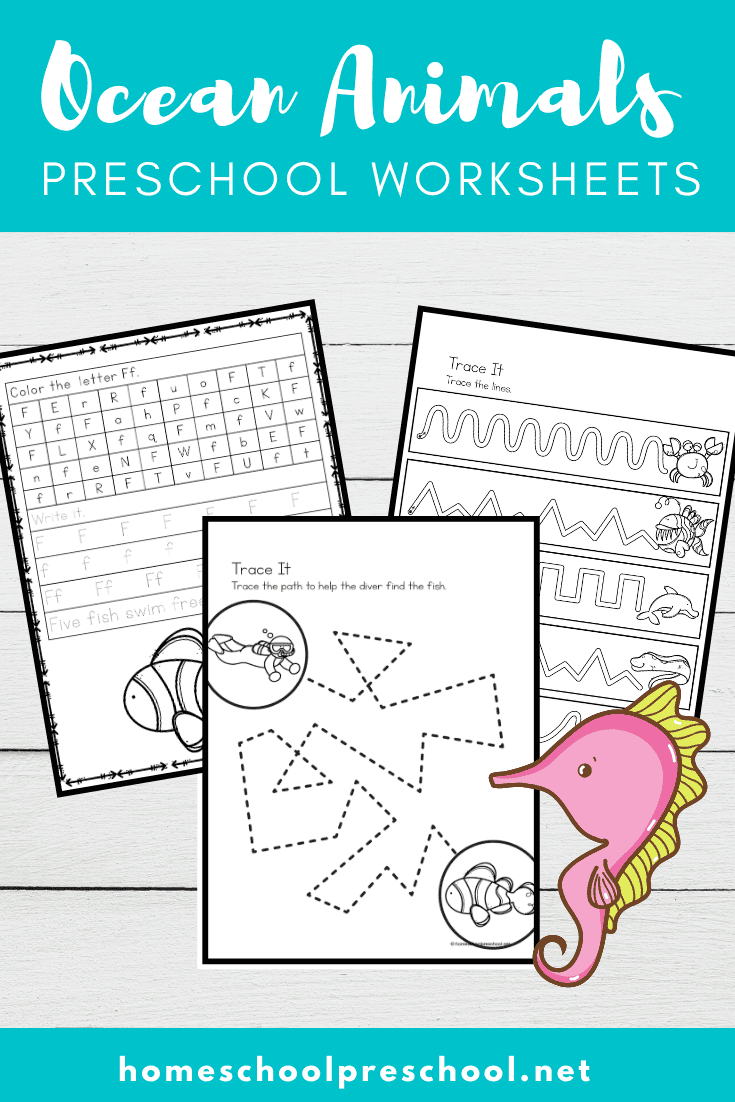 Ocean Animals Worksheets