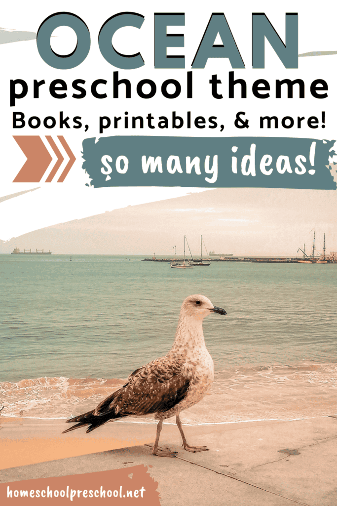 Summertime means beach time. Whether you're heading to the beach or just learning about it, these are the best activities for your preschool ocean theme.