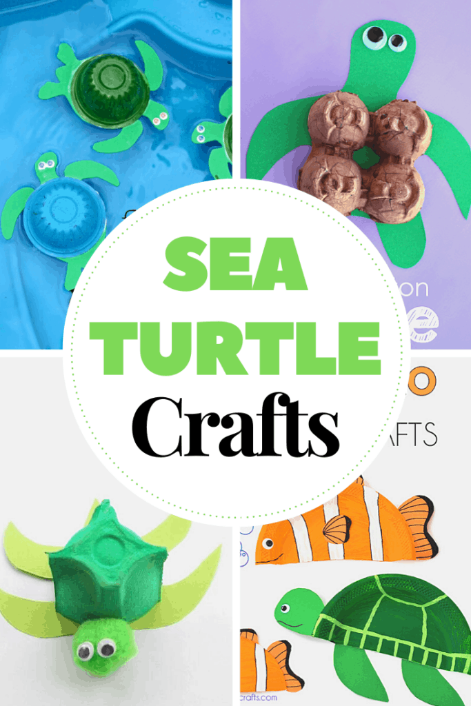 Sea turtle crafts are perfect for your summer and ocean-themed preschool lesson plans. You'll have a hard time choosing which one to make first!