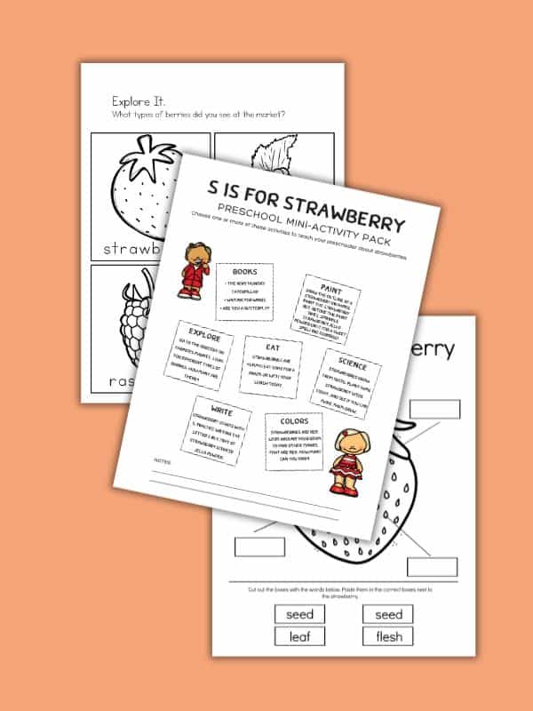 Strawberry Worksheets