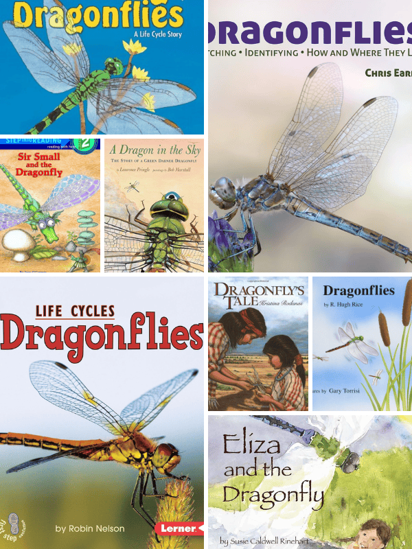 Books about Dragonflies