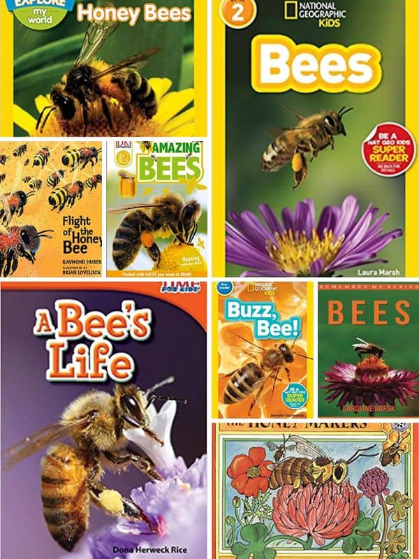 collage of bee books for kids
