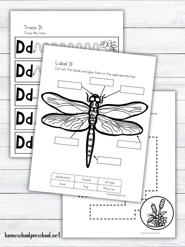 D is for Dragonfly Printable – Free Alphabet and Insect Theme Activities
