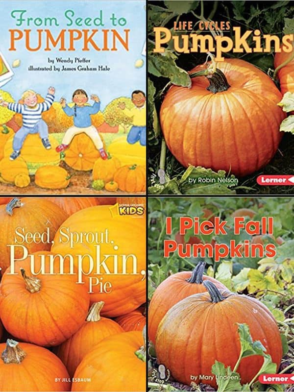 Nonfiction Pumpkin Books