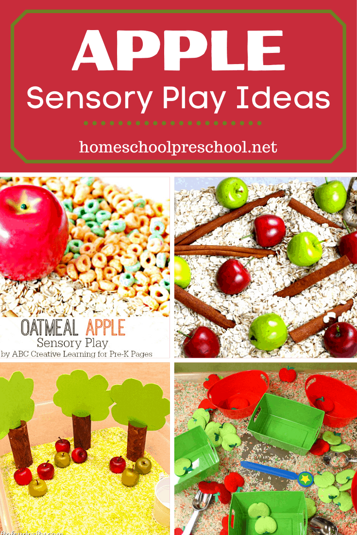 Apple Sensory Bin Ideas