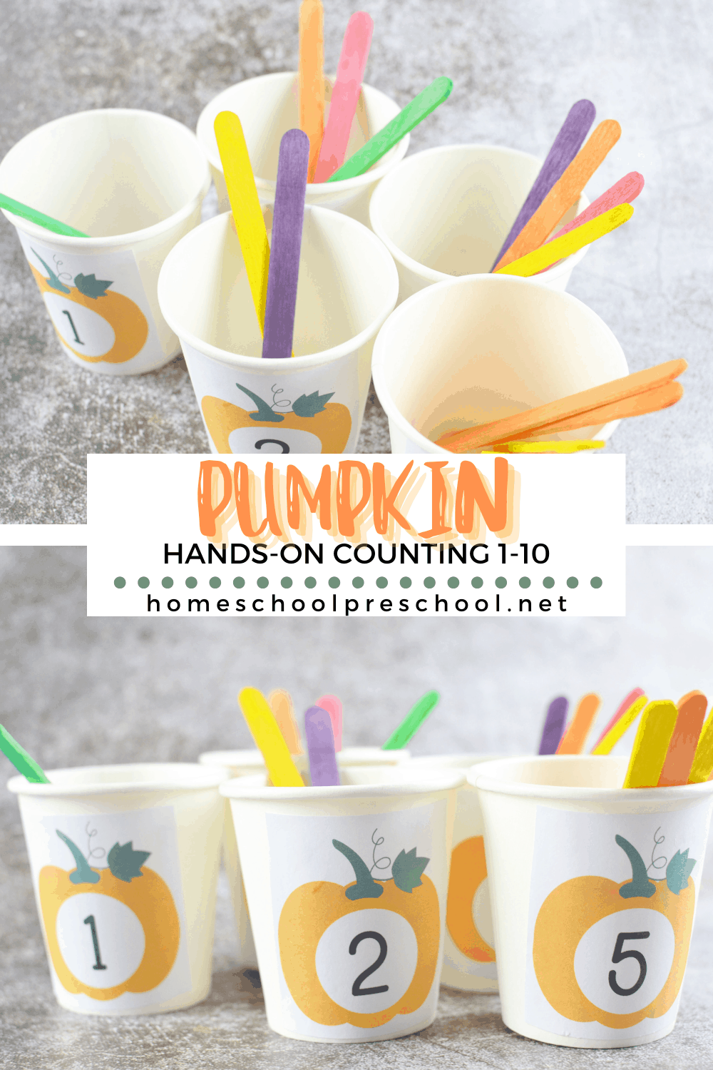 Pumpkin Counting Activity