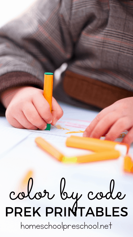 Color by Code Worksheets