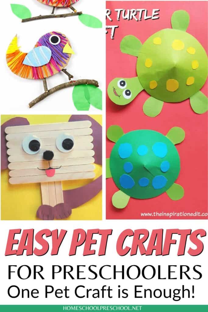 Easy pet crafts for preschoolers including simple bird, turtle, and dog art projects made with basic craft supplies.