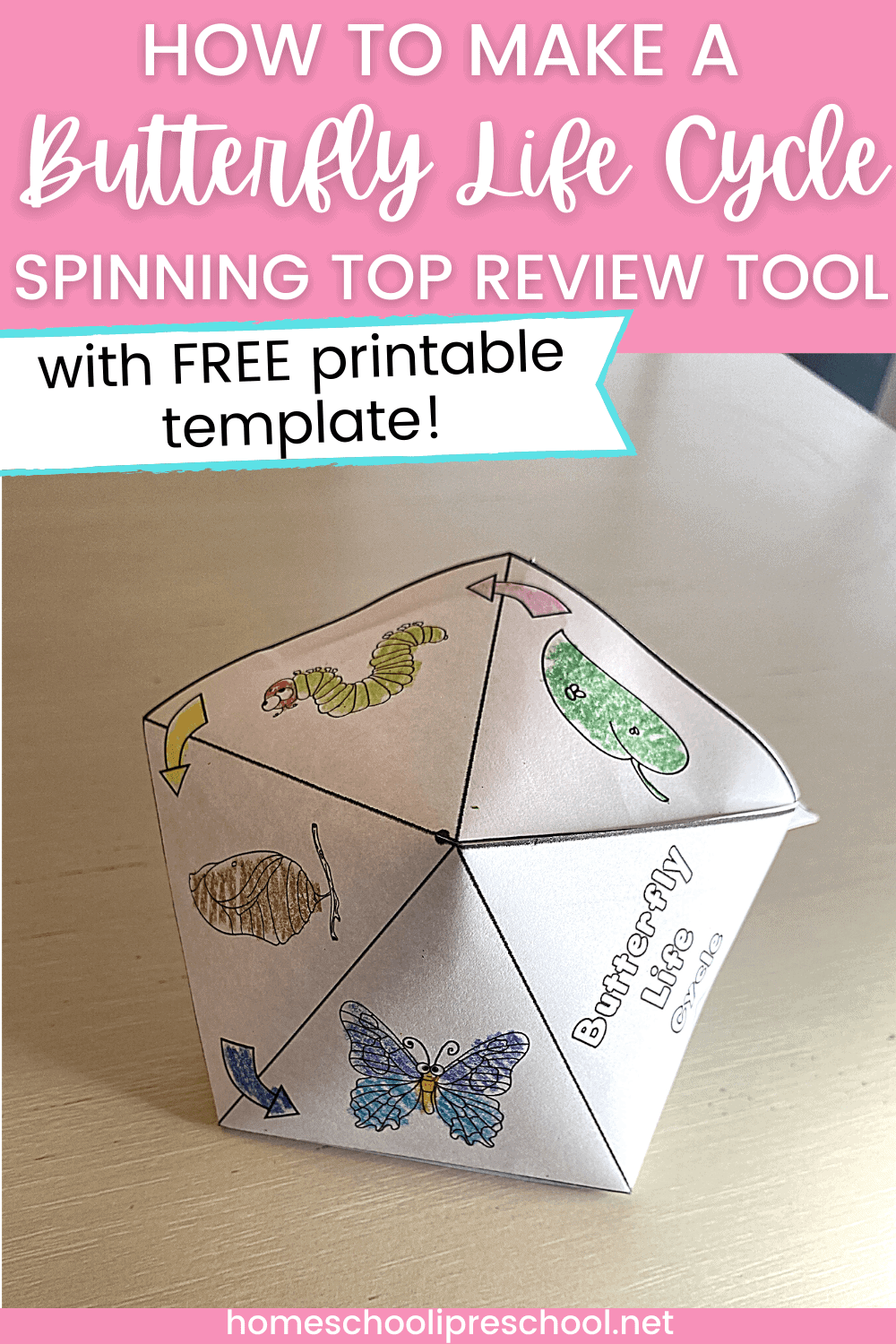 Butterfly Life Cycle