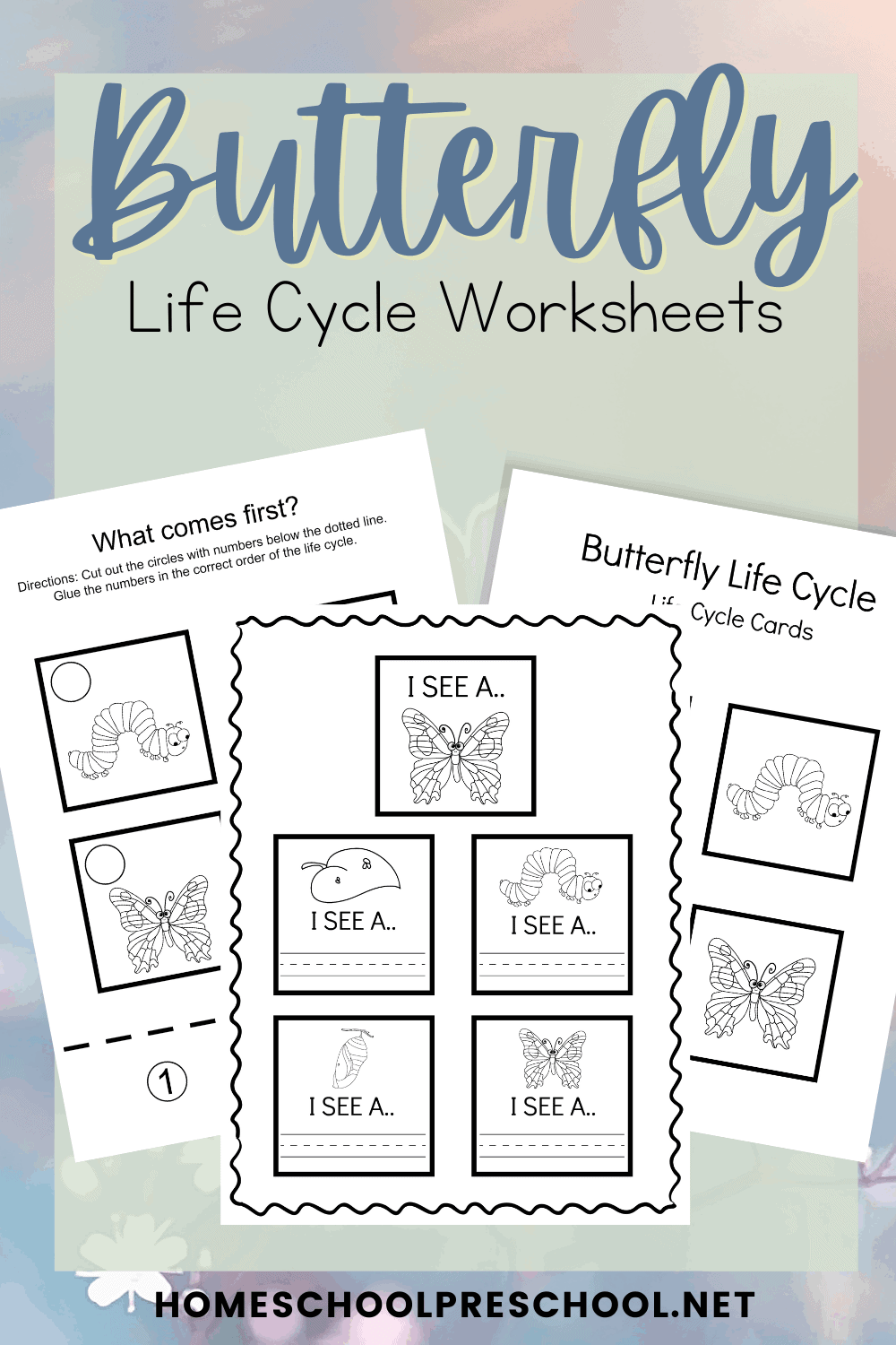 Life Cycle of a Butterfly