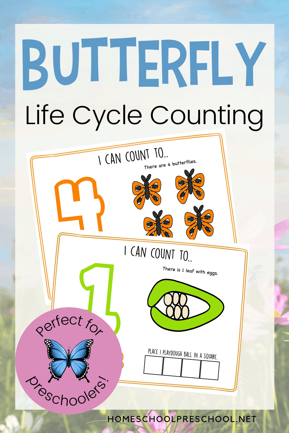 Life Cycle of a Butterfly Activity for Preschoolers