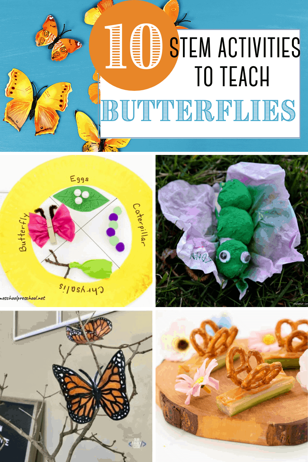 Butterfly Stem Activities
