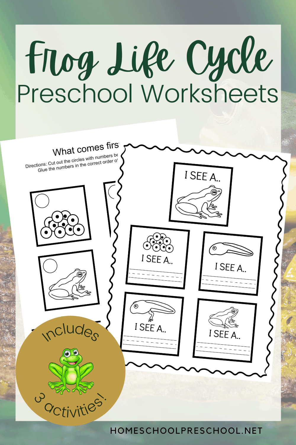 Frog Life Cycle Printable