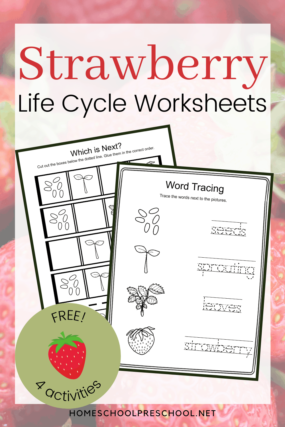Strawberry Life Cycle
