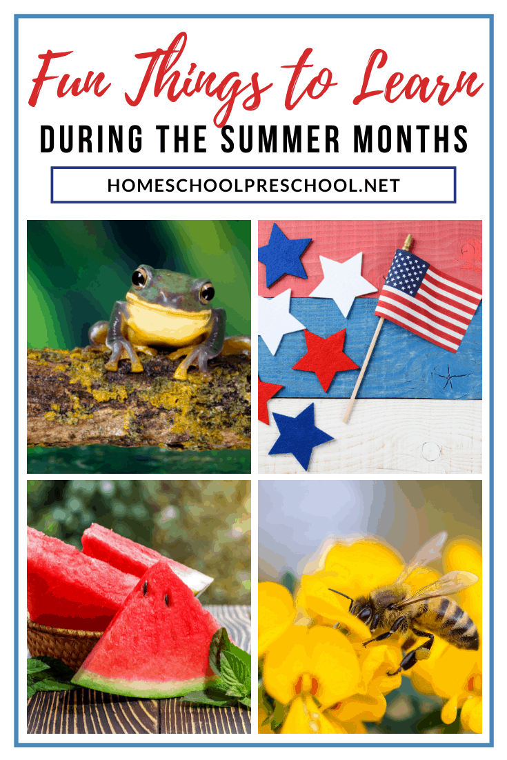 Fun Things to Learn During the Summer