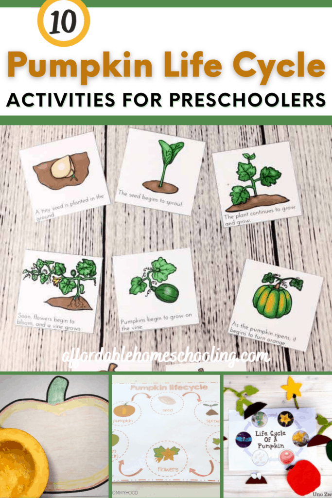 Pumpkin life cycle activities and sequencing cards for kids