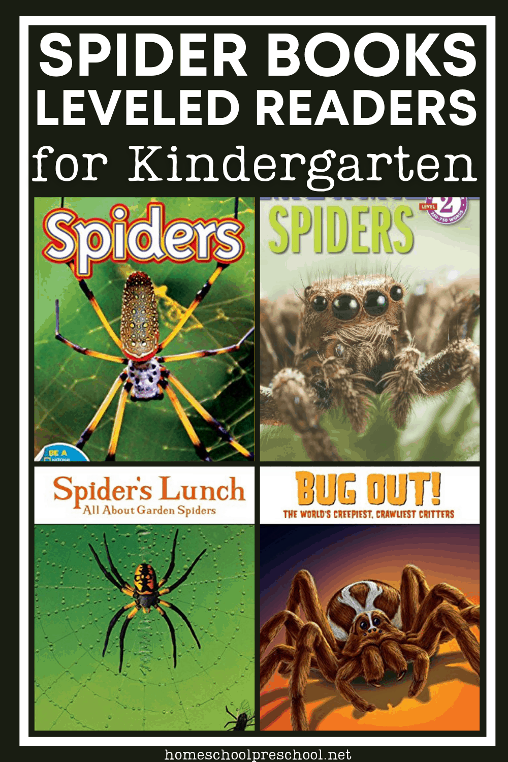 Spider Books for Kindergarten