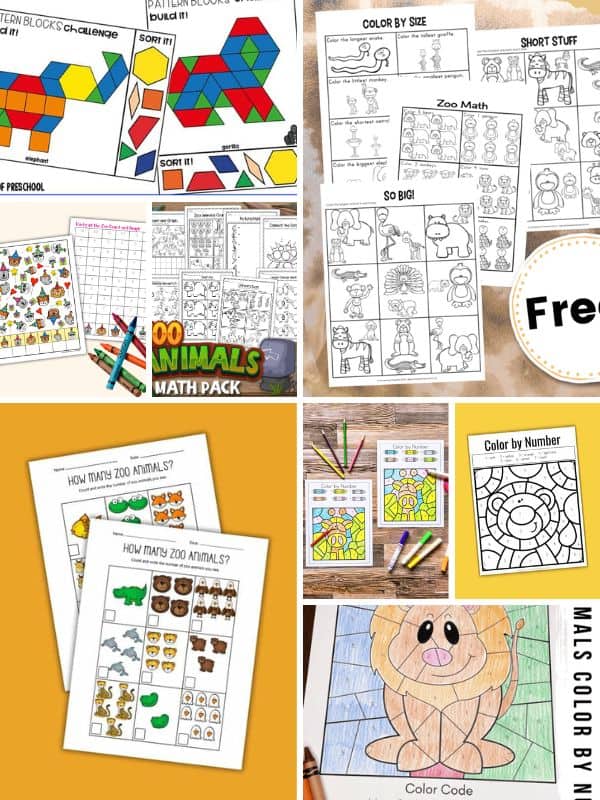 Zoo Animal Preschool Math Activities