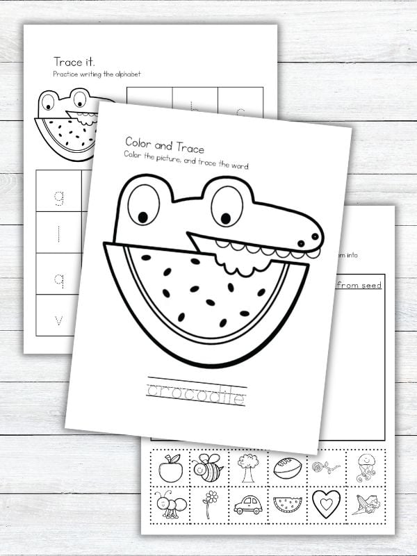 The Watermelon Seed Activities