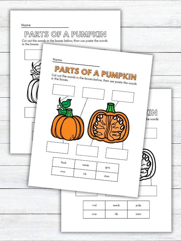 Parts of a Pumpkin