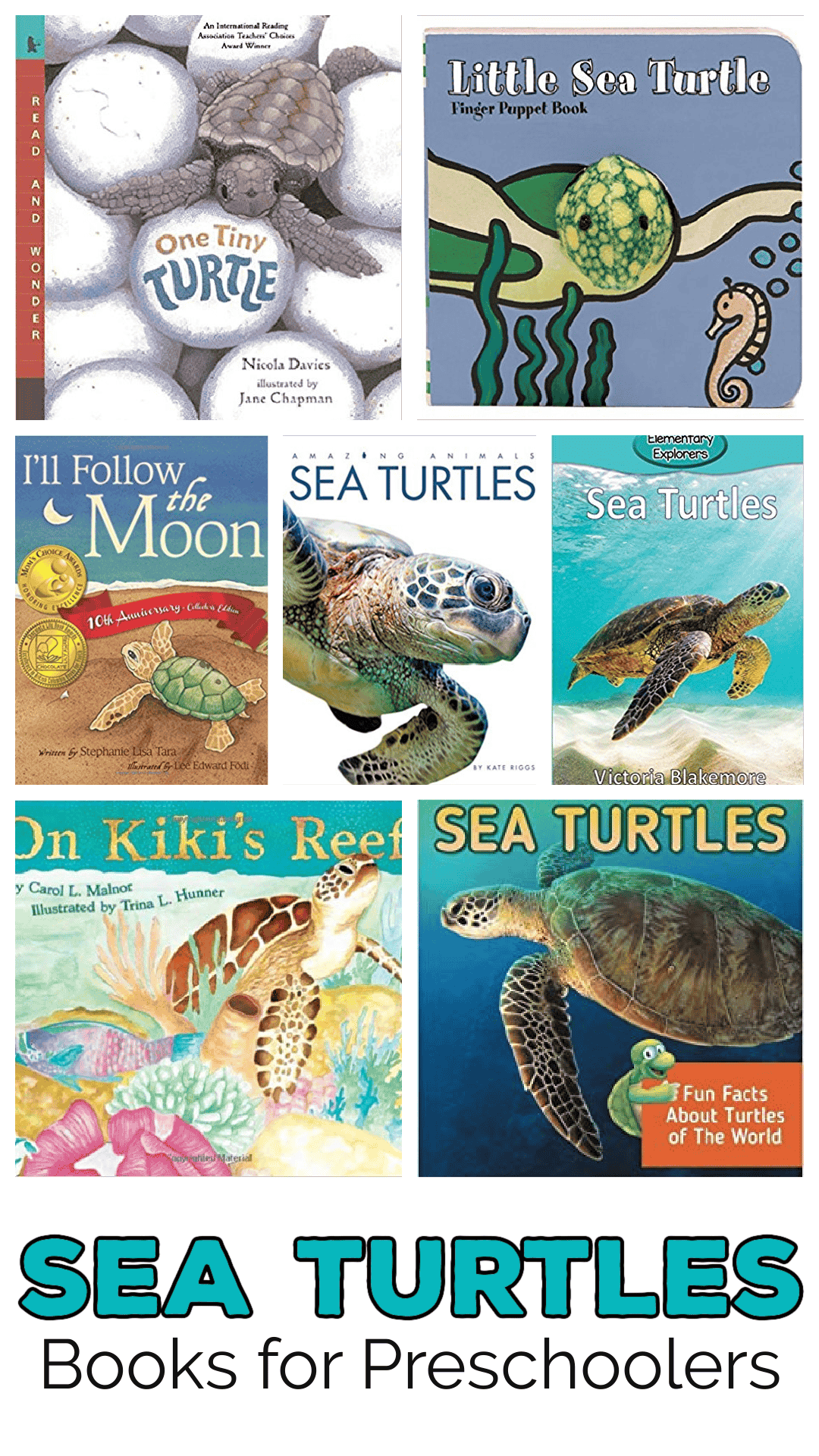 Sea Turtle Books for Kids