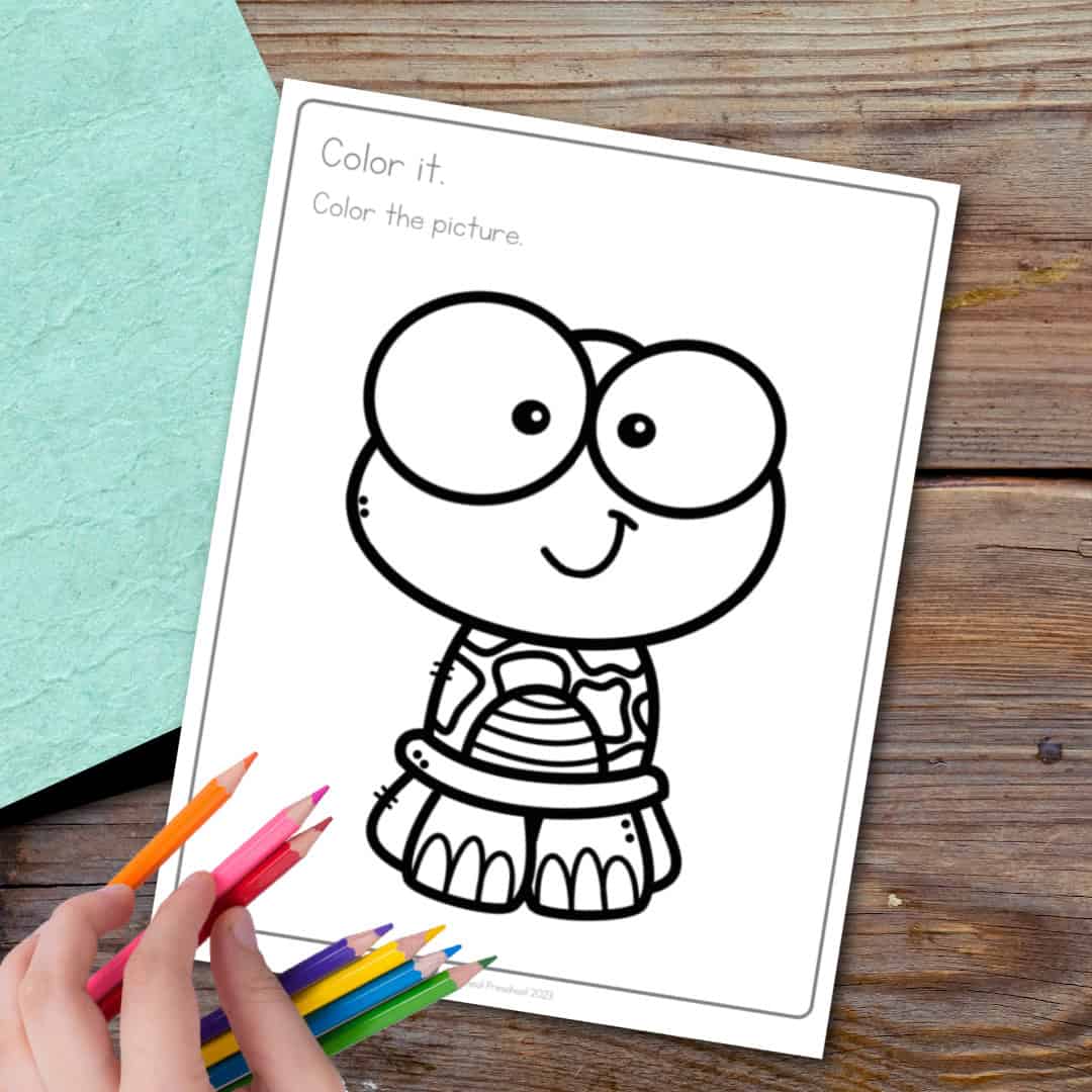 Printable Turtle Coloring Pages