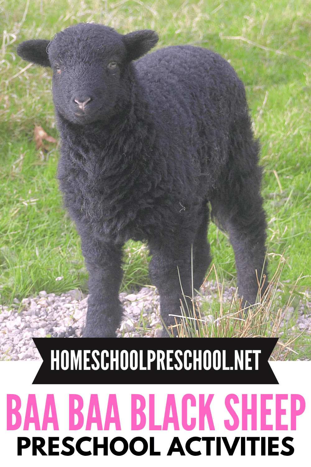 Baa Baa Black Sheep Preschool Activities