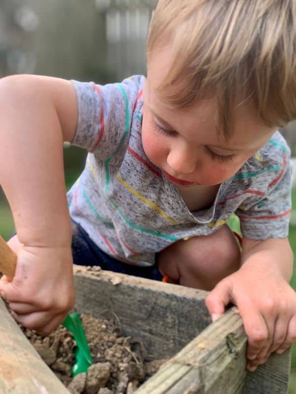 Summer Themes for Toddlers