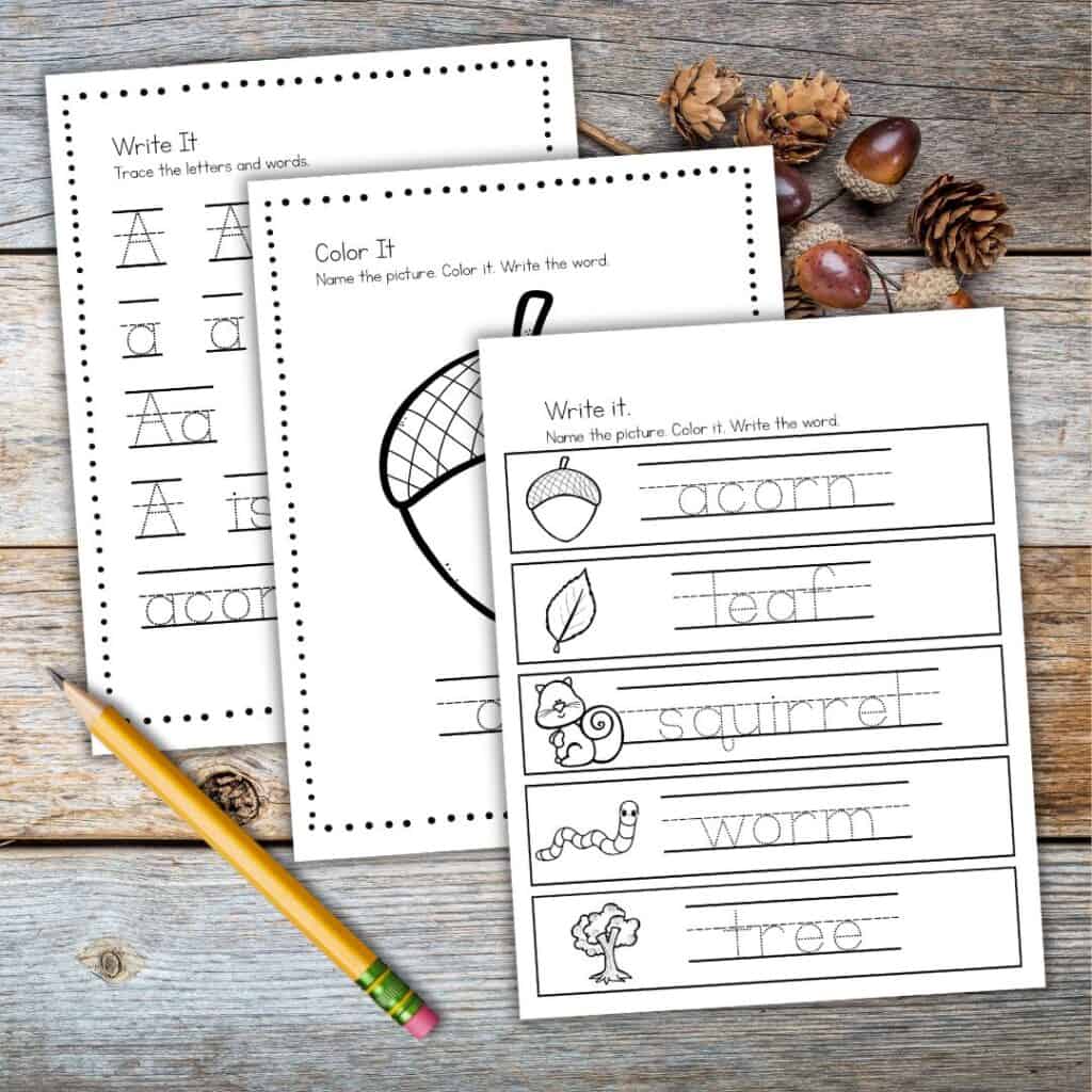 Printable preschool worksheets for tracing letters and fall-themed words, with an acorn theme, pencil, and acorns on a wooden surface.