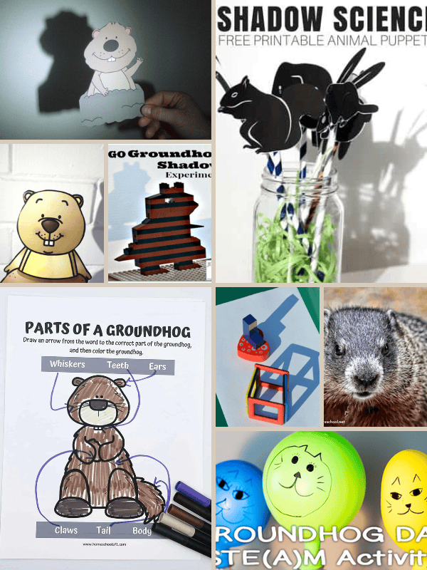 Groundhog Day Science Activities