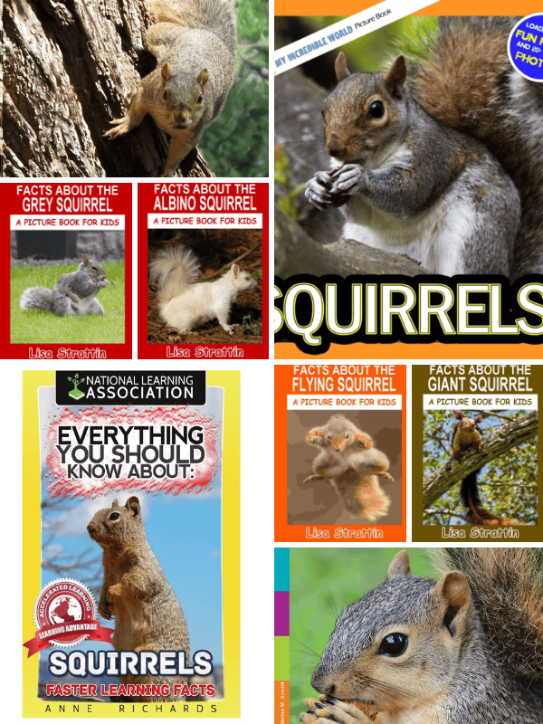 Non-Fiction Books About Squirrels