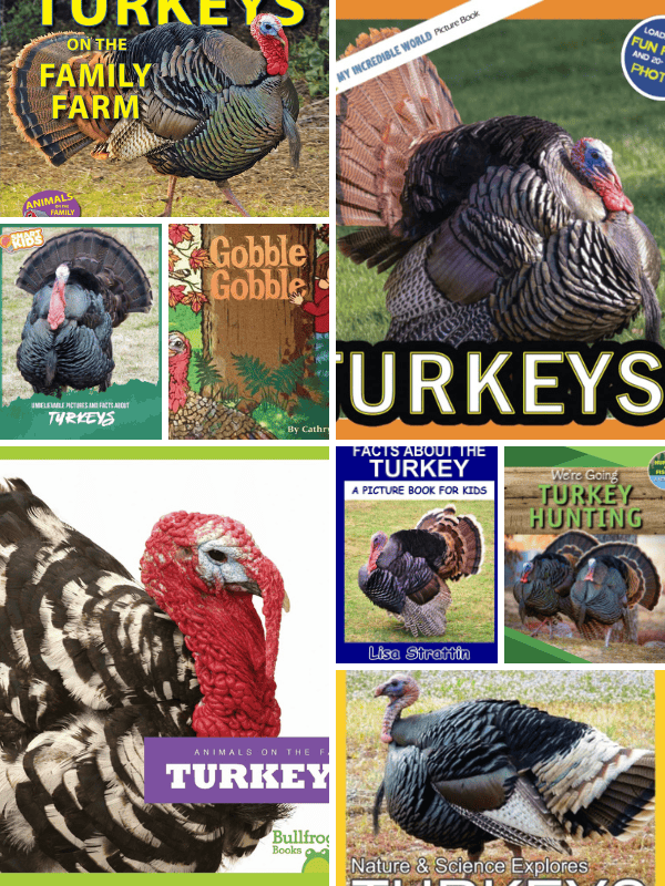 Non-Fiction Books About Turkeys
