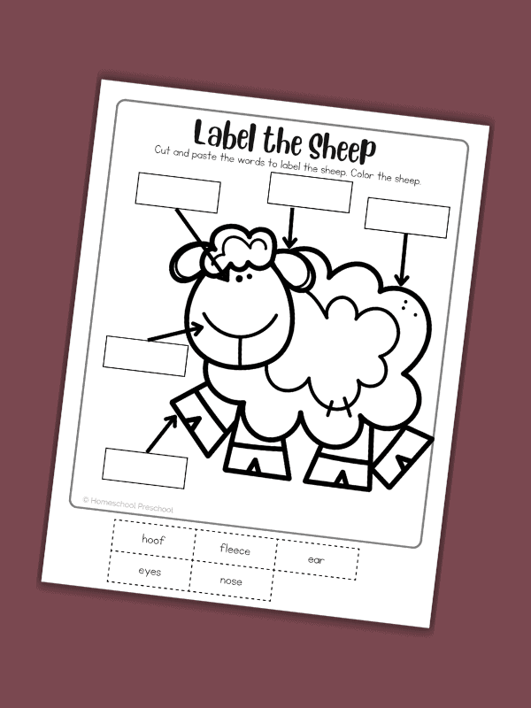 Sheep Worksheet