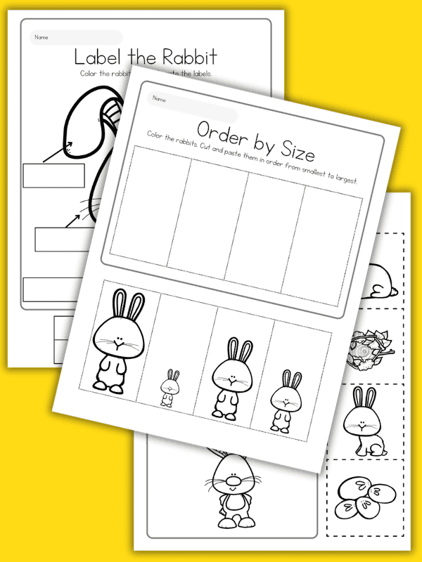 Rabbit Cut and Paste Worksheets