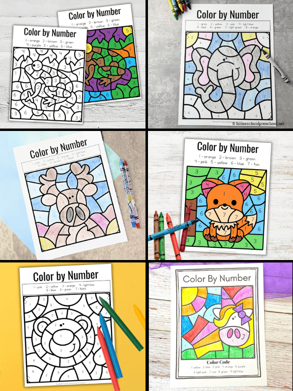 Animal Color by Numbers