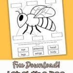 Pinterest Hidden Image