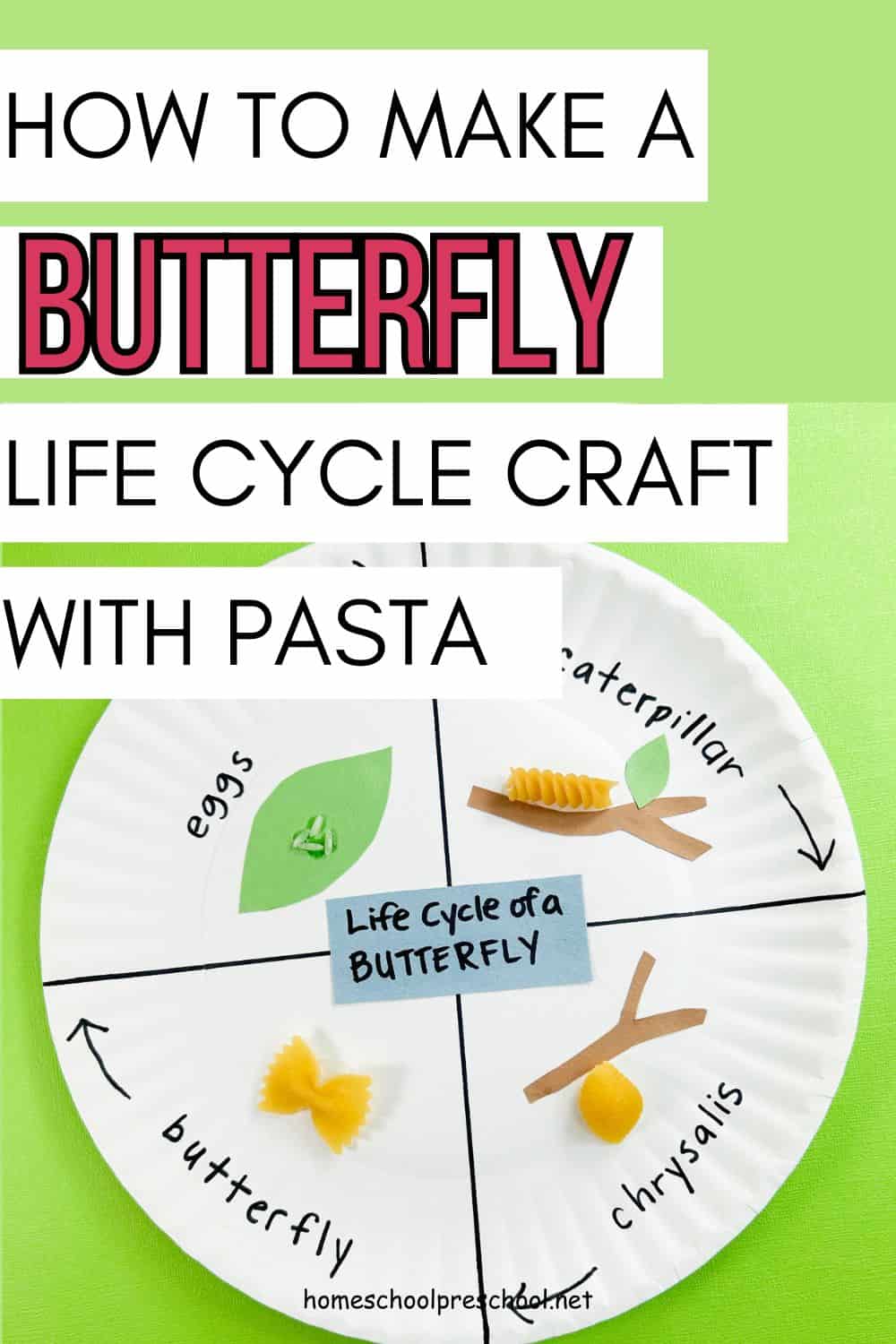Completed butterfly life cycle paper plate craft with pasta showing eggs, caterpillar, chrysalis, and butterfly stages with arrows and labels