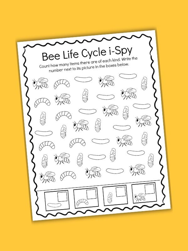 Life Cycle of a Bee Worksheet